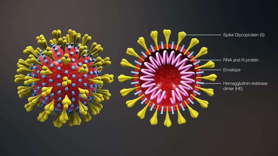 Koronavirus a škola – aktualizováno!