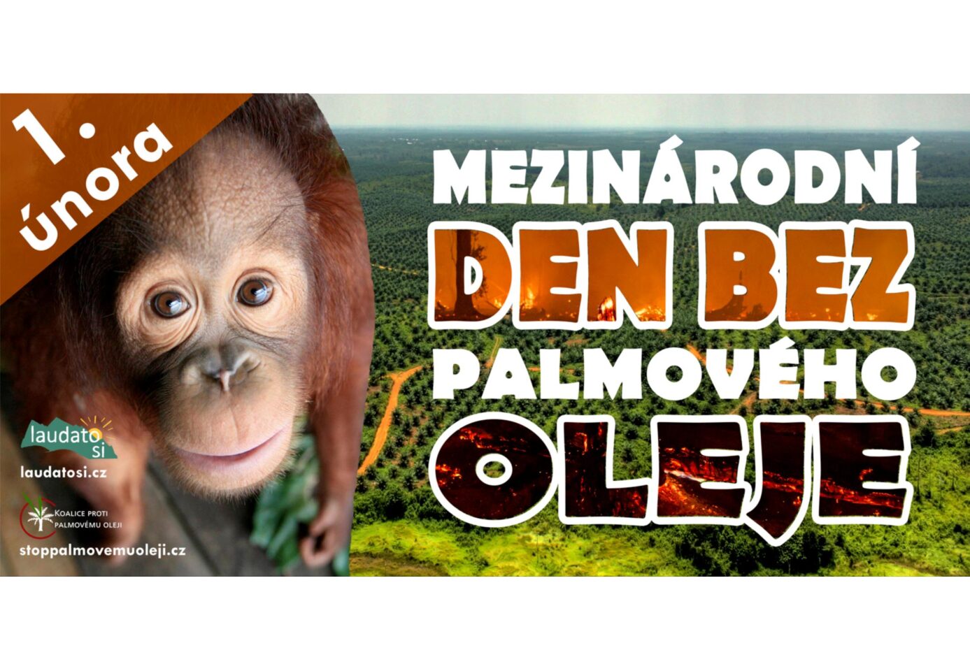 1. února: Den bez palmového oleje